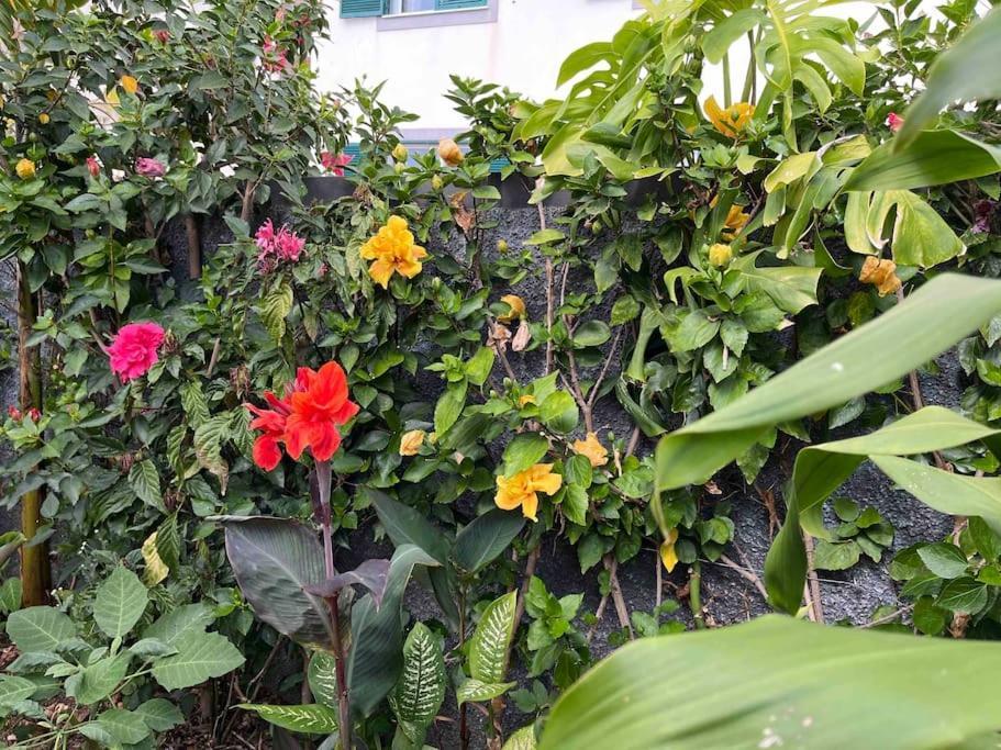 Moradia Com Piscina No Holiday home Canico (Madeira)