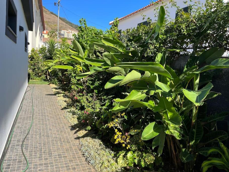 Moradia Com Piscina No Ferienhaus