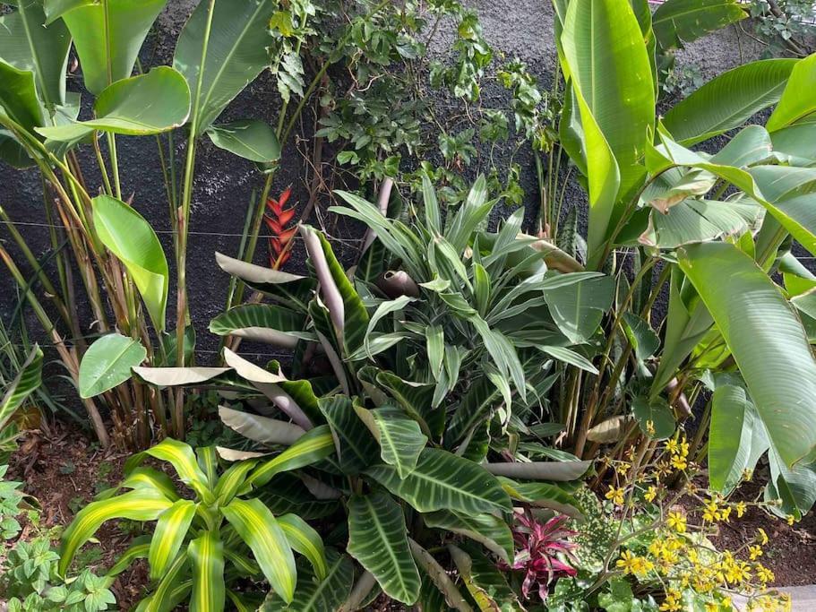 Moradia Com Piscina No Ferienhaus Caniço